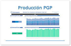 Producción PGP